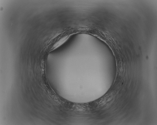 X0000083621301200703121618