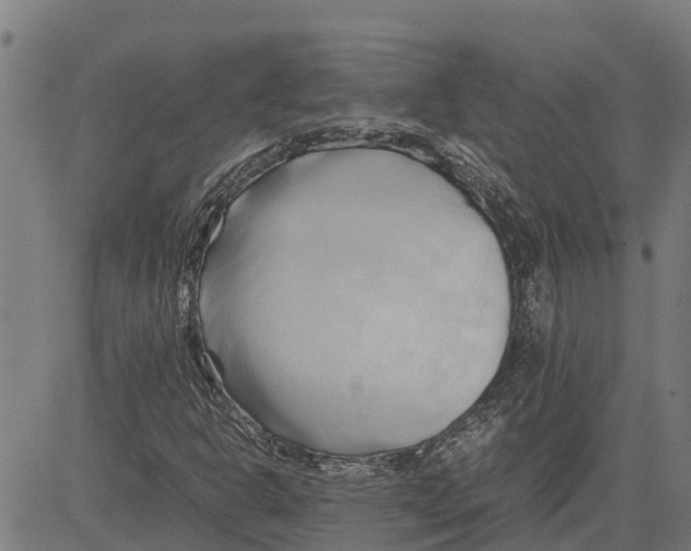 X0000083621302200703121618