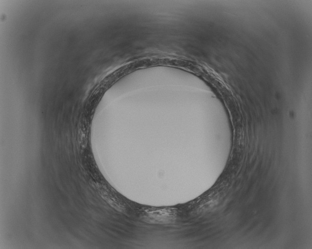 X0000083621303200703121618