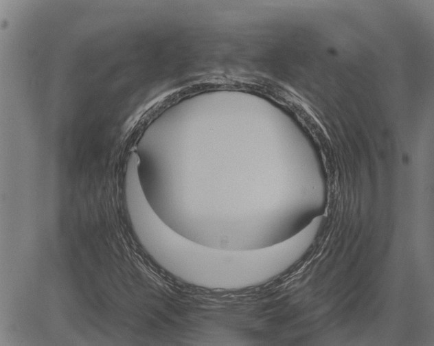 X0000083621304200703121618