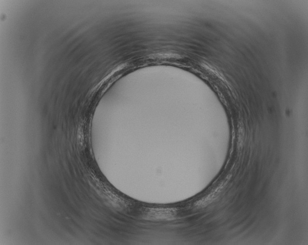 X0000083621305200703121618