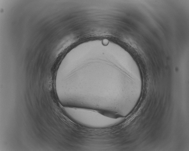 X0000083621306200703121618