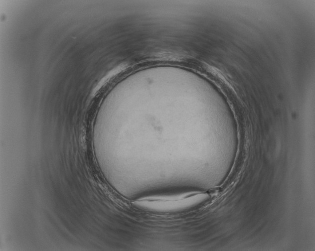 X0000083621307200703121618