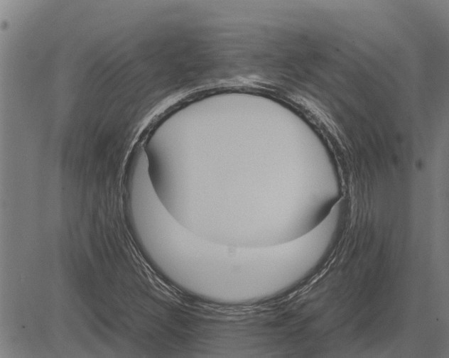 X0000083621308200703121618