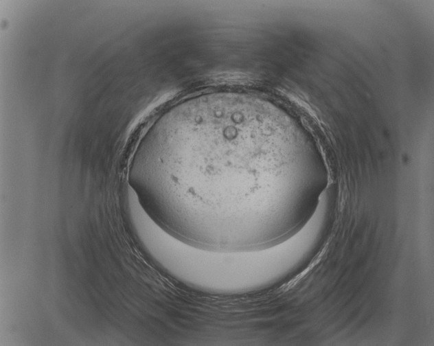 X0000083621309200703121618