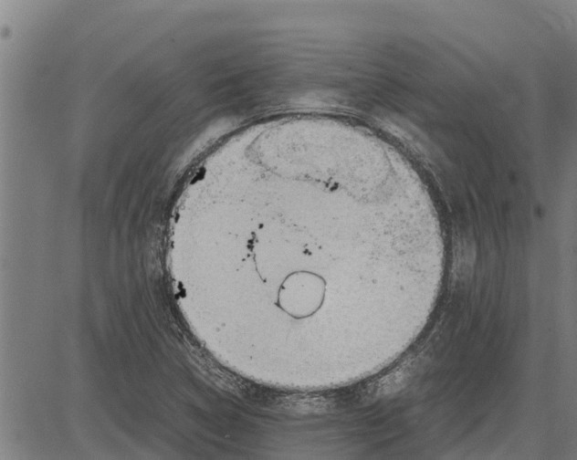 X0000083621314200703121618