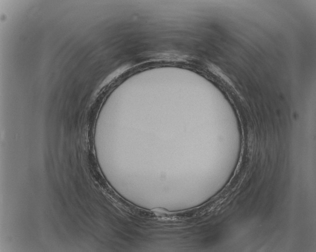 X0000083621315200703121618