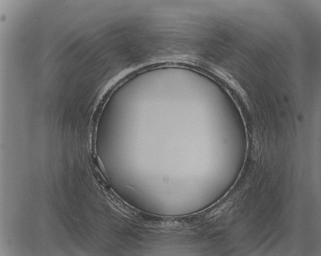 X0000083621316200703121618