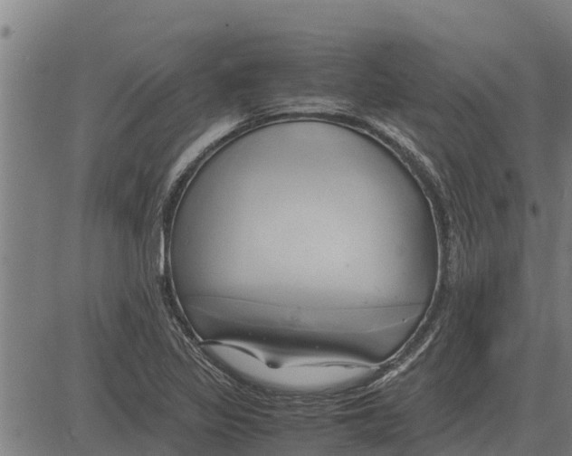 X0000083621317200703121618