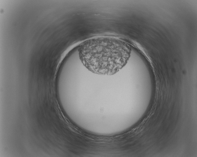 X0000083621320200703121618