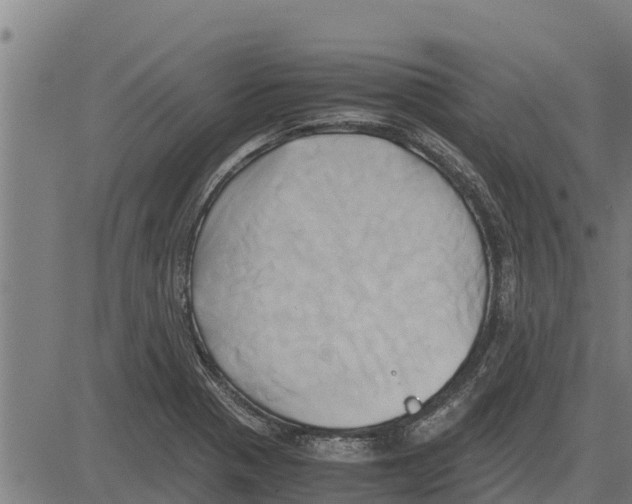 X0000083621321200703121618