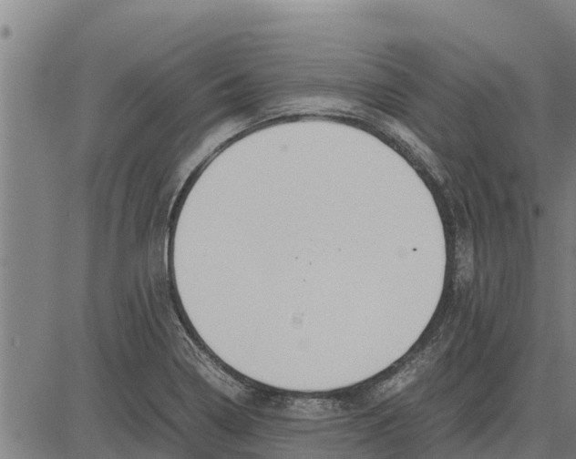 X0000083621322200703121618