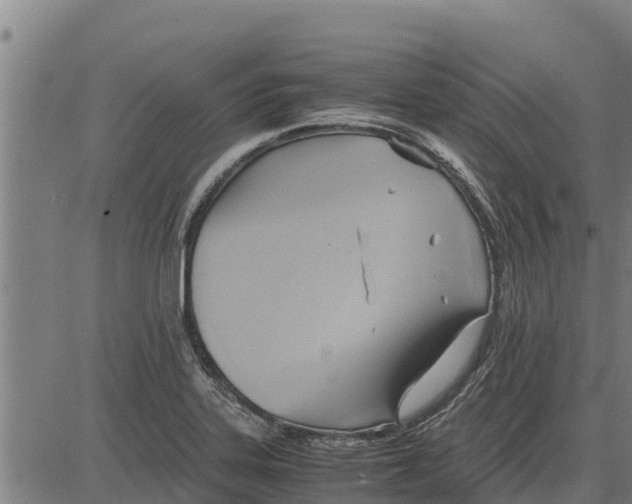 X0000083621323200703121618