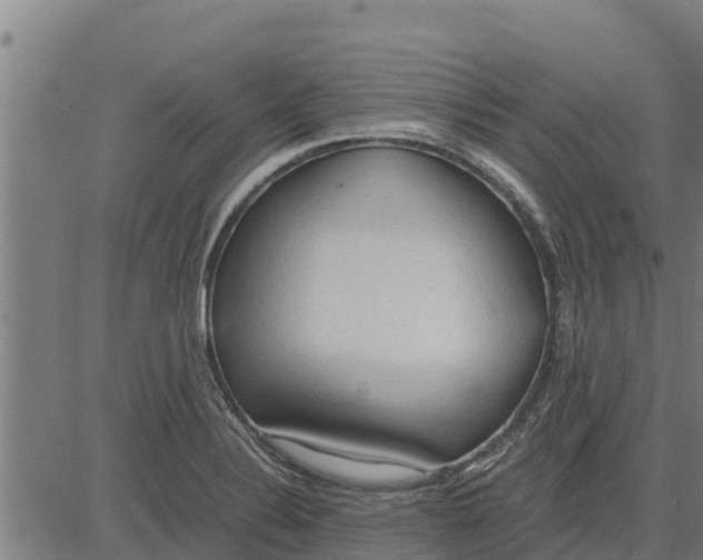 X0000083621324200703121618