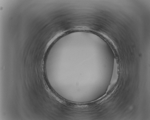 X0000083621325200703121618