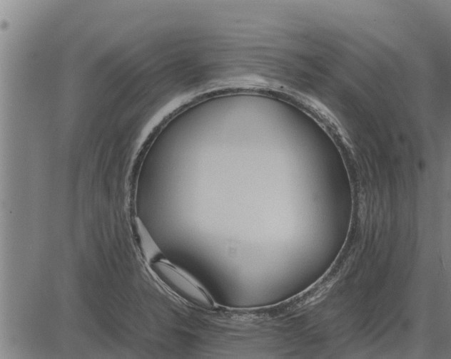 X0000083621326200703121618