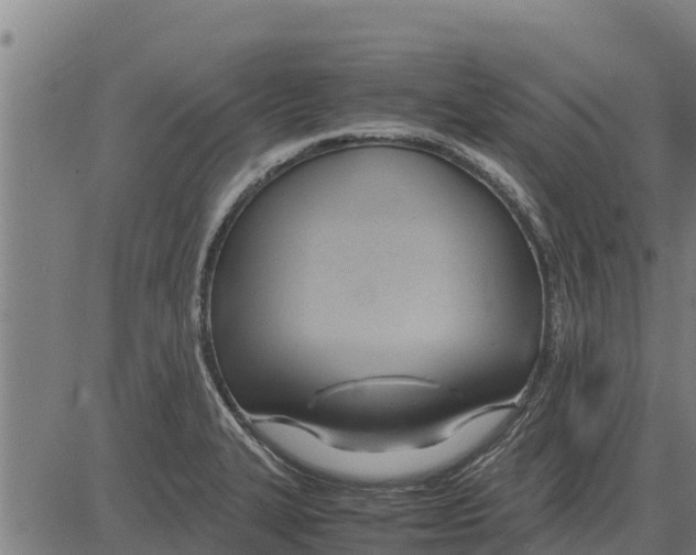 X0000083621327200703121618