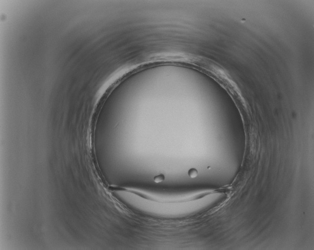 X0000083621328200703121618