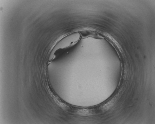 X0000083621329200703121618