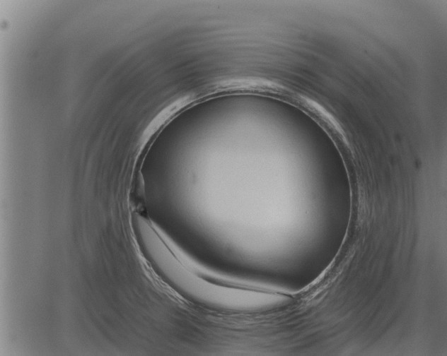 X0000083621330200703121618