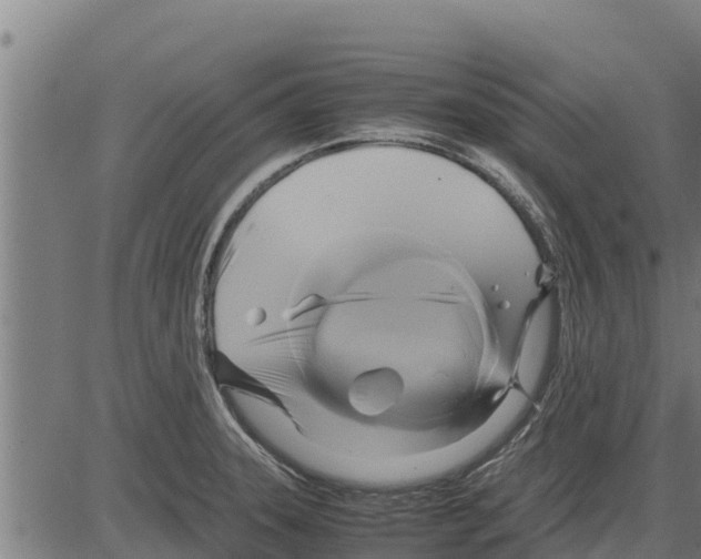 X0000083621331200703121618