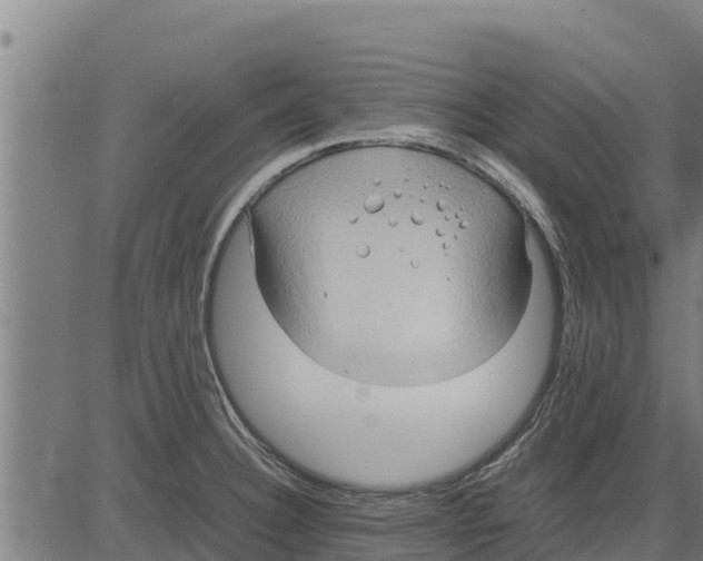 X0000083621332200703121618