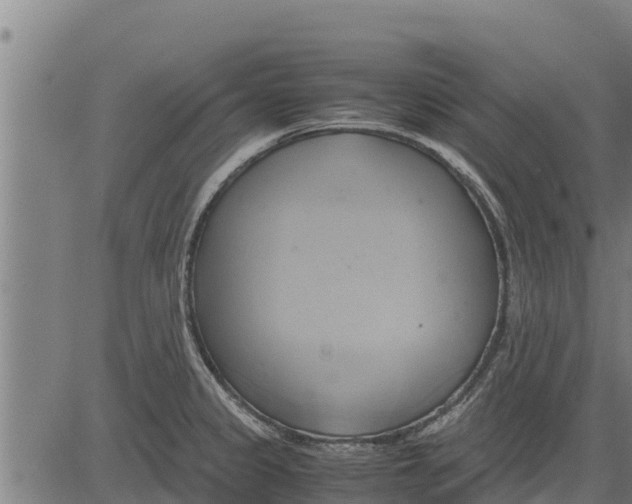 X0000083621333200703121618