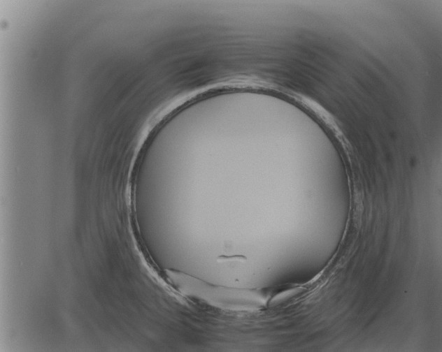 X0000083621335200703121618