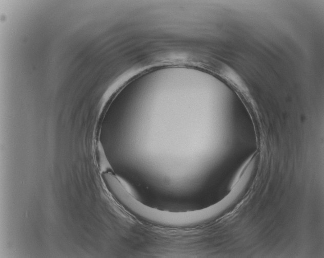 X0000083621336200703121618