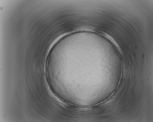 X0000083621339200703121618