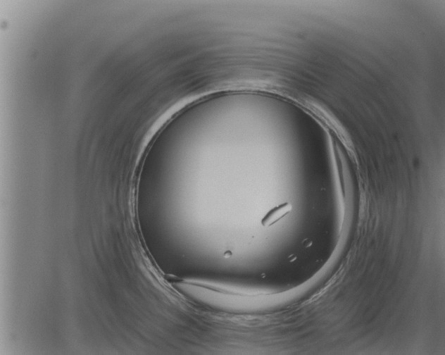 X0000083621340200703121618