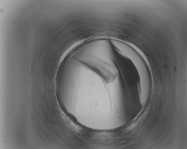 X0000083621341200703121618