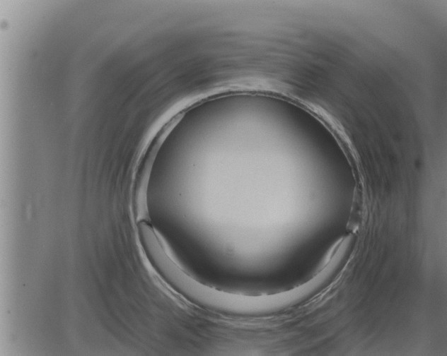 X0000083621342200703121618