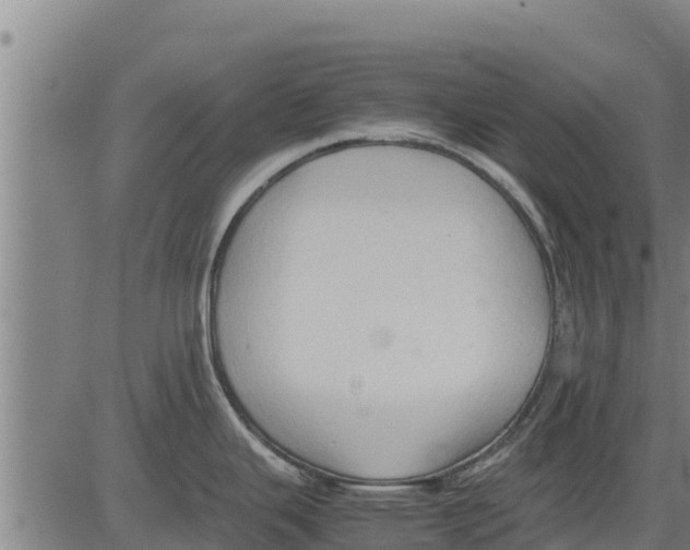 X0000083621343200703121618