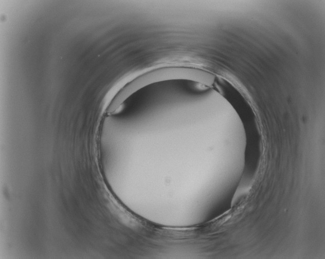 X0000083621344200703121618