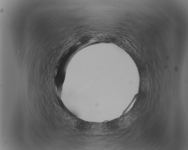 X0000083621345200703121618