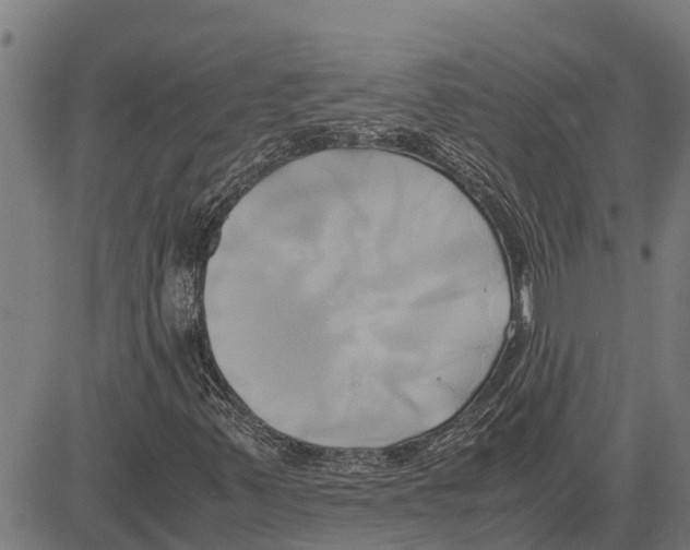 X0000083621347200703121618