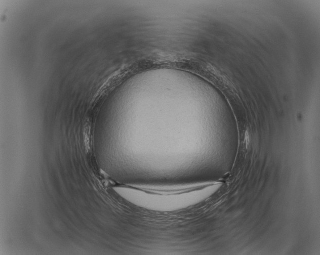 X0000083621348200703121618