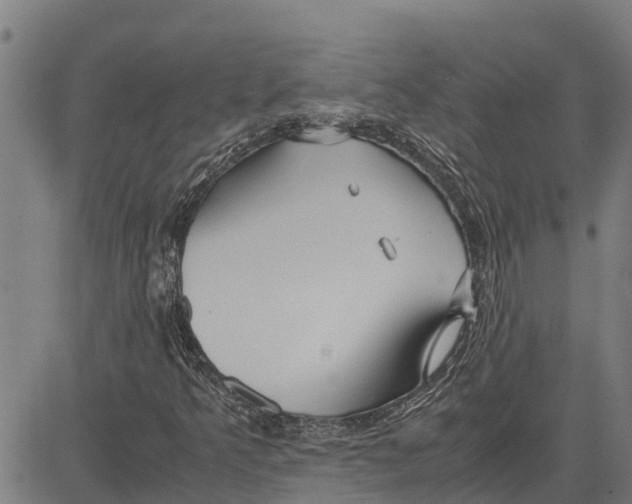 X0000083621349200703121618