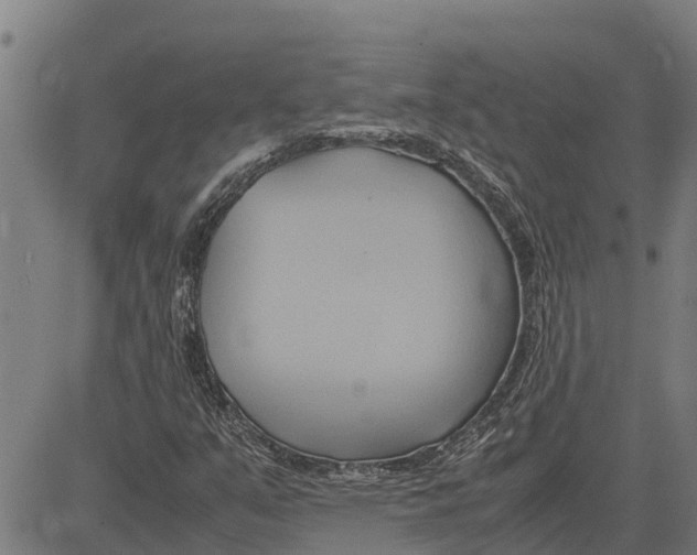 X0000083621351200703121618