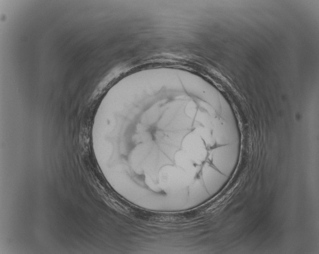 X0000083621355200703121617