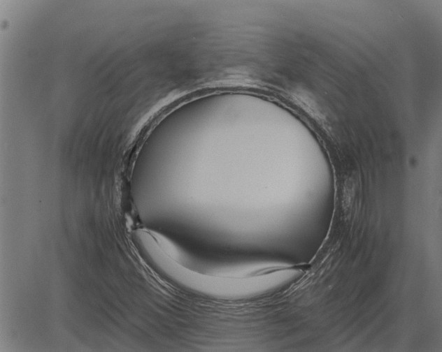 X0000083621356200703121617