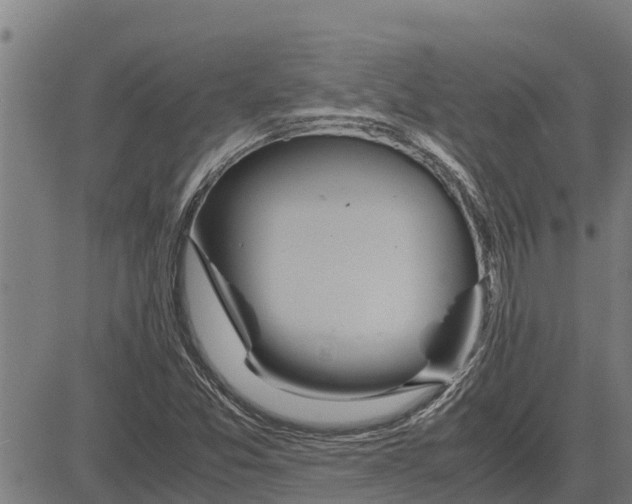 X0000083621357200703121617