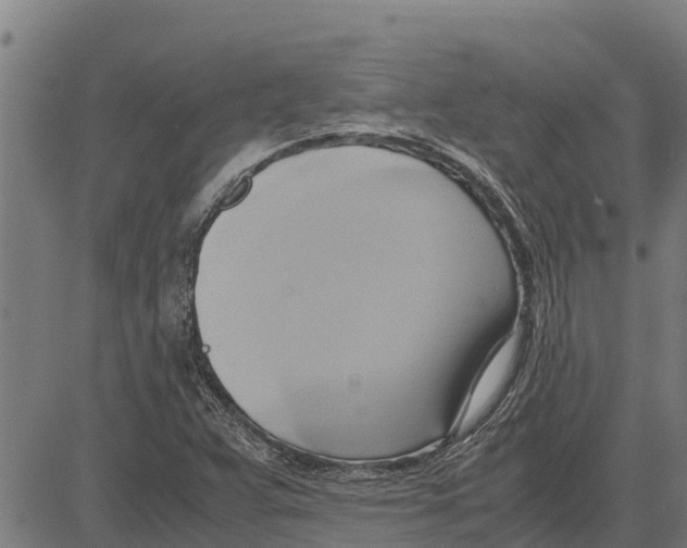 X0000083621359200703121617