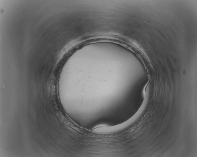 X0000083621360200703121617