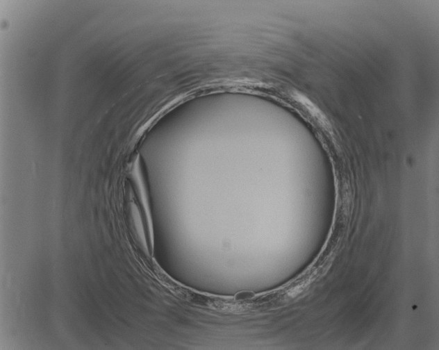 X0000083621361200703121617