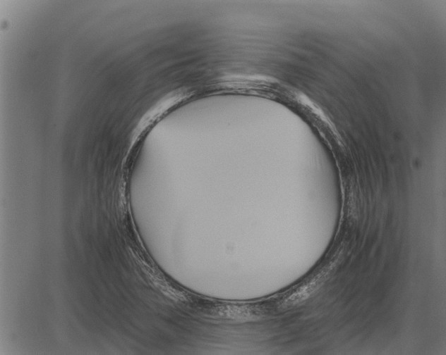 X0000083621362200703121617