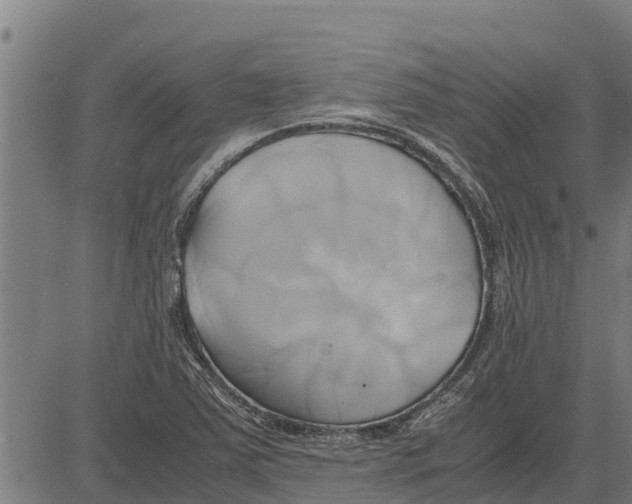 X0000083621363200703121617