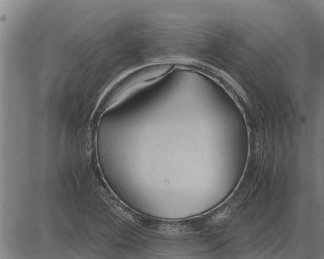 X0000083621364200703121617