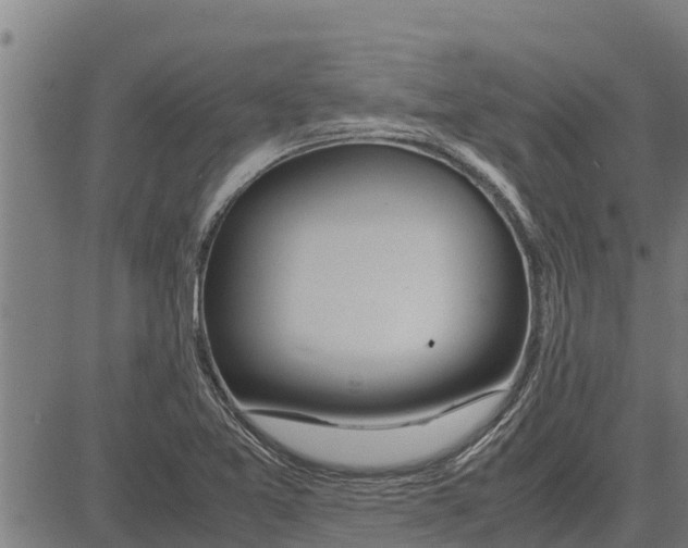 X0000083621365200703121617